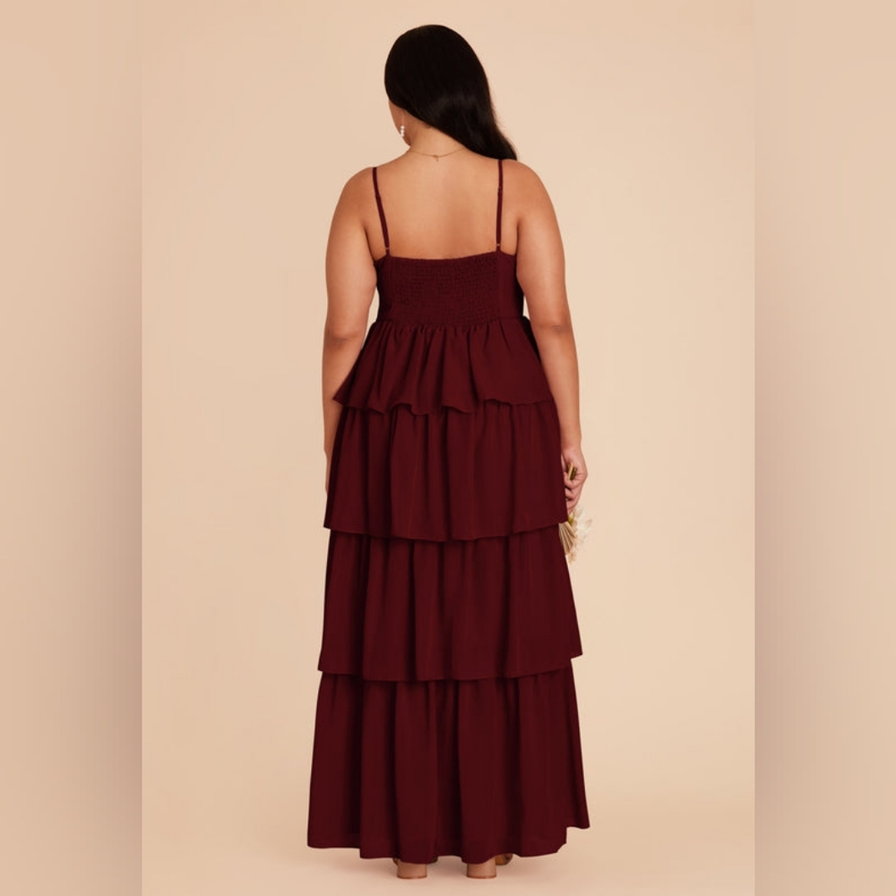 NEW Birdy Grey Lola Chiffon Cabernet Dress - Picture 3 of 10